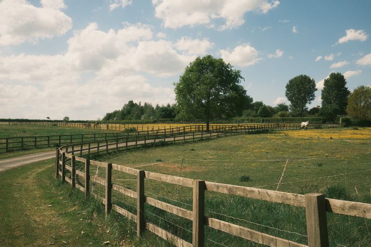 A wooden fence curves away through a buttercup meadow under a towering spring sky; a white horse grazes in the middle distance.
