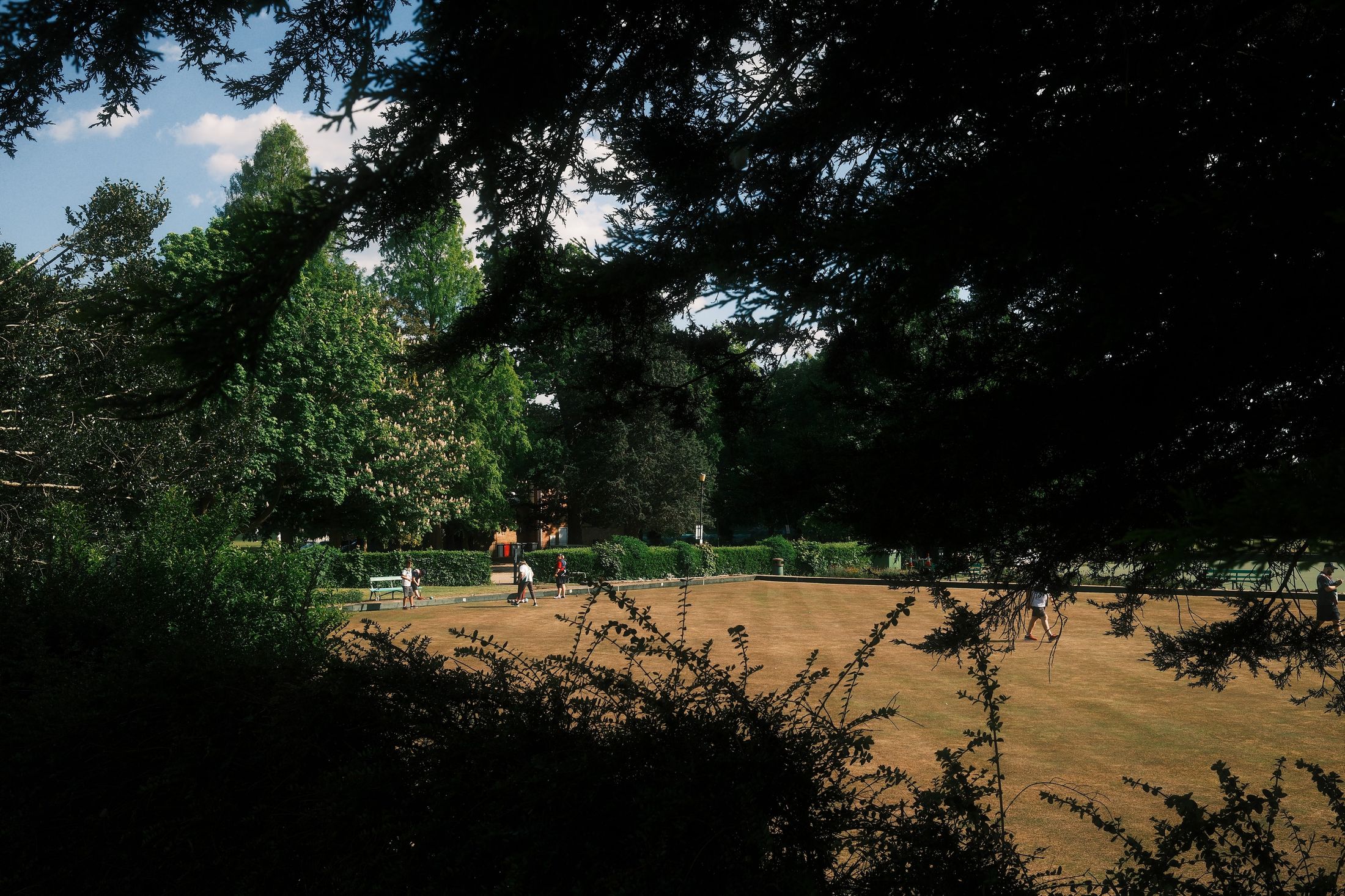 A lawn-bowls green seen from deep shade through overhanging branches; distant figures in whites play in the sun.