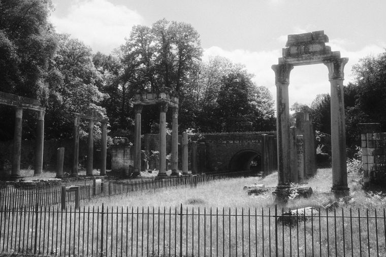 Black and white: a ruined classical colonnade stands in tall grass behind an iron railing, trees pressing in behind.