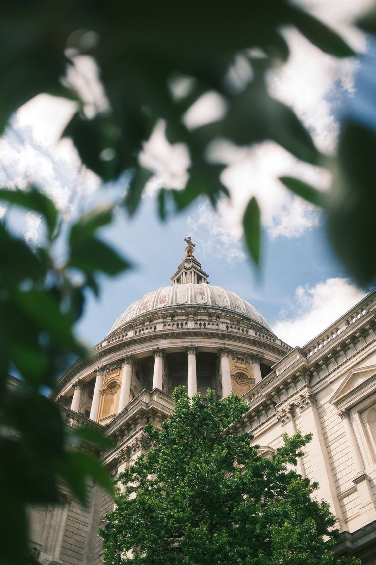 The dome of St Paul's rises behind a tree in full leaf, seen through a blurred screen of foliage.